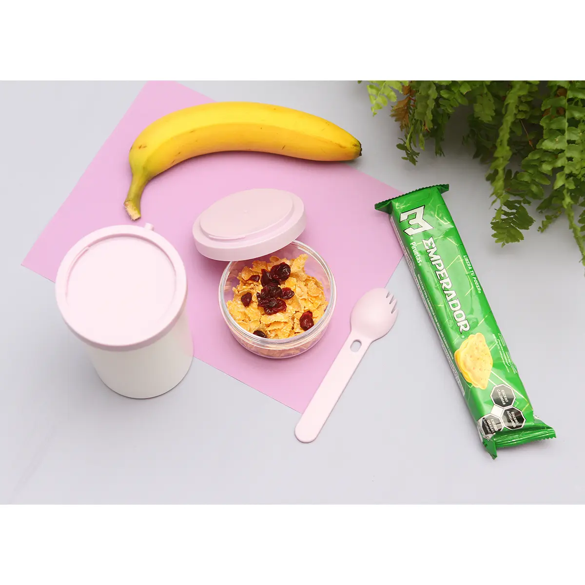 Contenedor Gills - Imagen 3